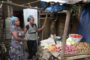 Bahir Dar Women, Children and Youth Support Project